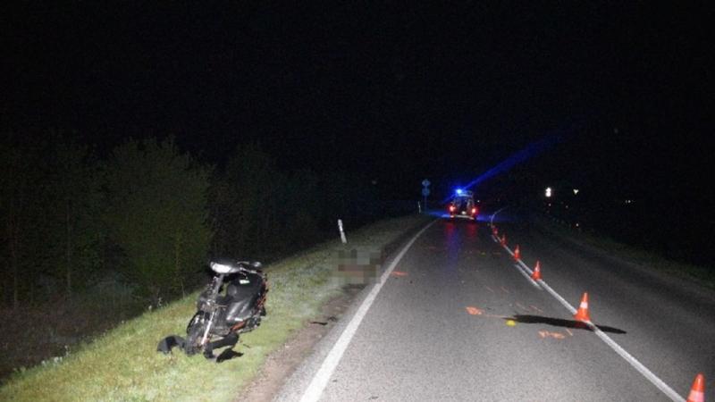 A motoros súlyosan megsérült, míg az állat tragikus módon életét vesztette.