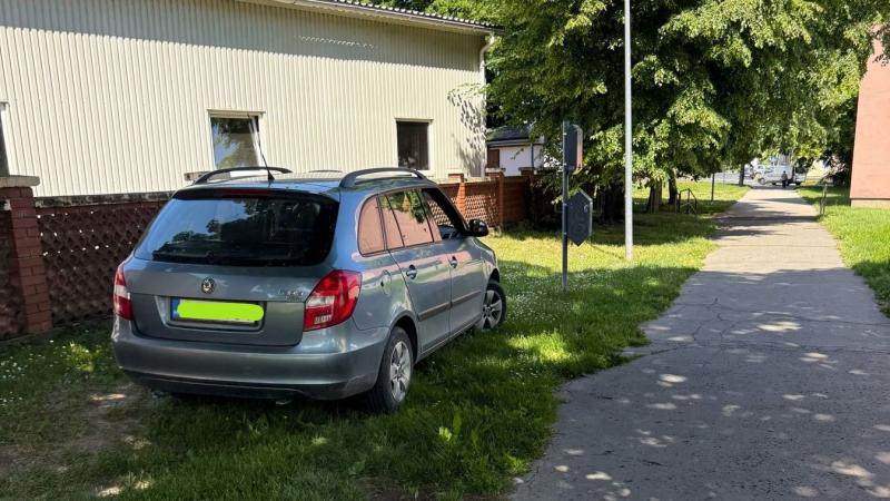 Legalább az autó árnyékban pihenhetett...