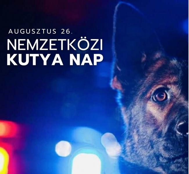 A nemzetközi kutyanap arra emlékeztet bennünket, hogy az ember legjobb barátja, a kutya, milyen különleges szerepet játszik életünkben. Ez a nap lehetőséget ad arra, hogy kifejezzük hálánkat e hűséges társaink iránt, akik mindig mellettünk állnak. | Króni