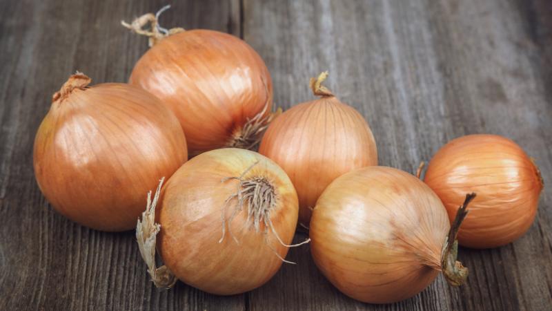 Az importált hagyma áradat Európa felé: meglepő, hogy honnan származik a legnagyobb része - Agrárszektor.