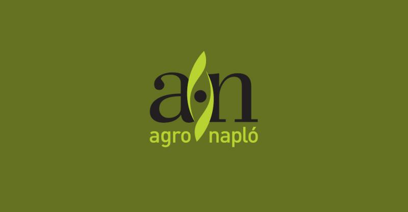 Fedezd fel a szántóföld varázsát - Repce a Dow AgroSciences segítségével! #agronaplo - AgroNapló