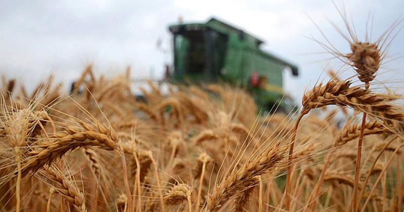 Mészáros Lőrinc újabb sikert könyvelhet el, hiszen nemrégiben egy agrárcég alapításába fogott.