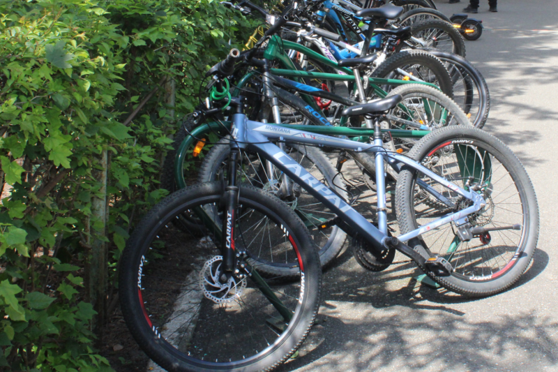 Kerékpáros Adománygyűjtés 2025 – Bikeathon a Közösségért!

Csatlakozz hozzánk a 2025-ös Bikeathon eseményre, ahol a kerékpározás iránti szenvedélyedet egy nemes cél érdekében kamatoztathatod! Ez az izgalmas rendezvény nemcsak sportos kihívás, hanem lehető
