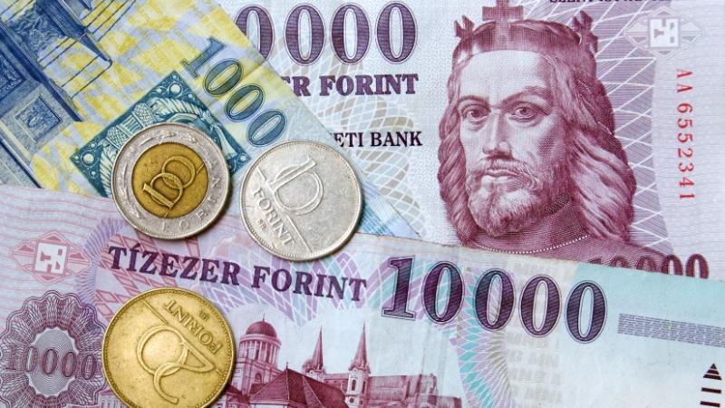 Kezdődnek a kifizetések: több ezer magyar részesül a milliárdos támogatásokból, amelyeket szétszórnak az érintettek között - Agrárszektor.